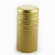 Aluminium PP 30x60mm garantiering, goud